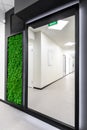 Office interior with vertical garden. Green moss wall in clean hallway Royalty Free Stock Photo