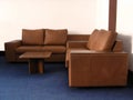 Office leather sofa