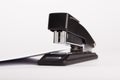 Office stapler with white card Royalty Free Stock Photo