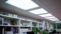 An office with white ceiling tiles and fluorescent lights, white shelves with books and plants, and a desk with a computer Royalty Free Stock Photo