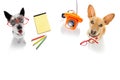 Office worker businessman couple of team dogs Royalty Free Stock Photo