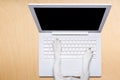 Office worker dog with laptop pc computer on desk table Royalty Free Stock Photo