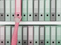 Office worker taking a folder in the archive