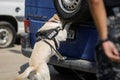 Officer from the Romanian customs train a service dog to detect drugs and ammunition near a car during a drill exercise Royalty Free Stock Photo