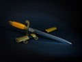 Officer\'s dagger with scabbard Royalty Free Stock Photo