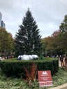 The Official Chicago Christmas Tree Royalty Free Stock Photo