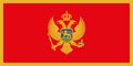 The official current flag of Montenegro. State flag of Montenegro. Illustration