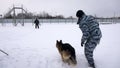 Official German shepherd on the detention of a dangerous criminal