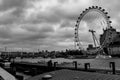 The official london eye