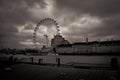 The official london eye