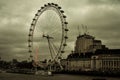 The official london eye