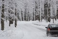 Offroad car standing on snowy forest road, copyspace