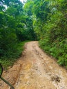 Offroad off road street stones earth mudder dirt bike scooter tree forest north chiang mai village Thailand sun day trip Royalty Free Stock Photo