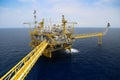 Offshore oil and gas production and exploration business. Production oil and gas plant and main construction platform in the sea