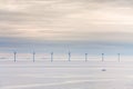 Offshore wind farm at early morning Royalty Free Stock Photo