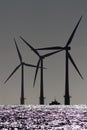 Offshore windfarm and boat silhouetted before dawn. Moonlit sea Royalty Free Stock Photo