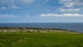 offshore windfarm North East Scotland