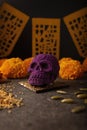 Ofrenda Dia de Muertos