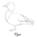 Ogar bird coloring. Vector outline image Royalty Free Stock Photo