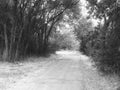 Ogden River Walkway