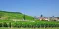 Oger,Champagne,France Royalty Free Stock Photo