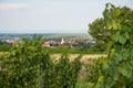 Oggau village at the Lake Neusiedler See in Burgenland, Austria Royalty Free Stock Photo