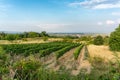 Oggau village at the Lake Neusiedler See in Burgenland, Austria Royalty Free Stock Photo