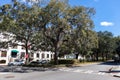 Oglethorpe Avenue with Trees covered with Spanish Moss in Downtown Savannah Georgia