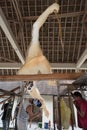 Ogoh Ogoh statue being created by Hindu Bali villagers in preparation for Pengrupukan night. Bali, Indonesia Ã¢â¬â March 9 2018