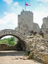 Ogrodzieniec Castle. a ruined medieval castle in Poland