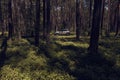 Ogrodzieniec, Poland - 28.05.2017: Silver Peugeot 3008 standing on a forest road in the sunshine. Royalty Free Stock Photo