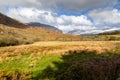Ogwen Valley View Royalty Free Stock Photo