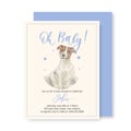 Oh baby. Baby shower card. Wavy elegant calligraphy spelling for decoration.