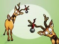 Oh no! Two Christmas Reindeer