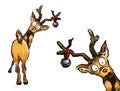 Oh no! Two Christmas Reindeer