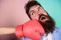 Oh no. woman boxing glove beat man. problems in relationship. sport. bearded man hipster defeated by woman. businessman