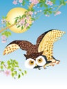 The Ohara Koson owl is flying Royalty Free Stock Photo