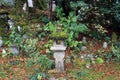 Stone lantern cover by lichen moss in the green garden at Jikko-in temple. Royalty Free Stock Photo
