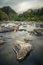 Ohinemuri River, Karangahake Gorge Royalty Free Stock Photo