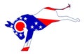 Ohio Democrat Donkey Flag