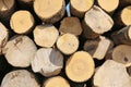 Ohio logging Royalty Free Stock Photo