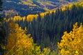 Ohio Pass Fall Vista