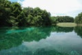 Ohrid - Macedonia. Saint Naum springs black drin river near Ohrid lake. Ohrid, Macedonia Royalty Free Stock Photo