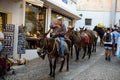 Oia, Santorini/Greece-08.02.2019: donkey ride Royalty Free Stock Photo