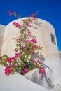 Oia Santorini island Cyclades Royalty Free Stock Photo