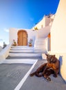 Oia town on Santorini island, Greece. Traditional and famous houses and churches with blue domes over the Caldera, Aegean sea Royalty Free Stock Photo