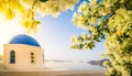 Oia, traditional greek village Royalty Free Stock Photo