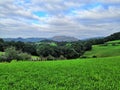 Camino de Santiago, Oiartzun, Basque Country, Spain