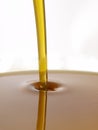 Oil