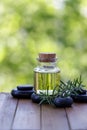 Oil bottle,  black basalt  zen stones for hot massage with  rosemary  branch on blurred green Royalty Free Stock Photo